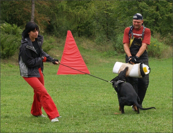 Kasja vom Vele & Anauel Verstenwal & Lucie 